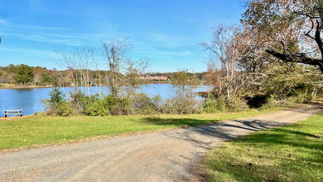 a path next to a body of water