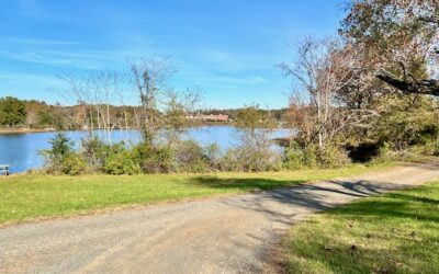 Gravel Bike Joyride: Boost Your Bliss in Scenic Beauty of Loudoun