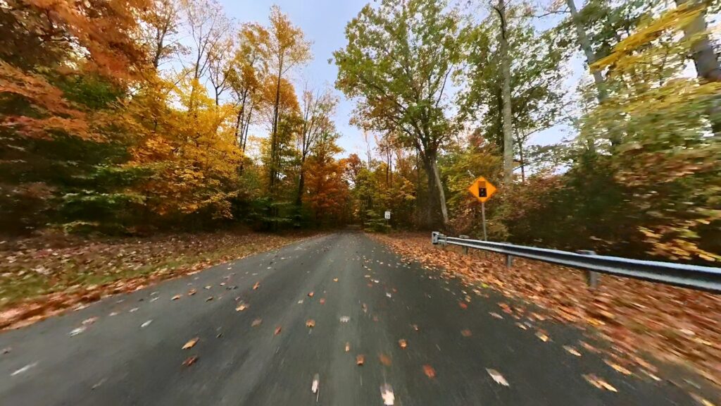 Jackson Hollow Start