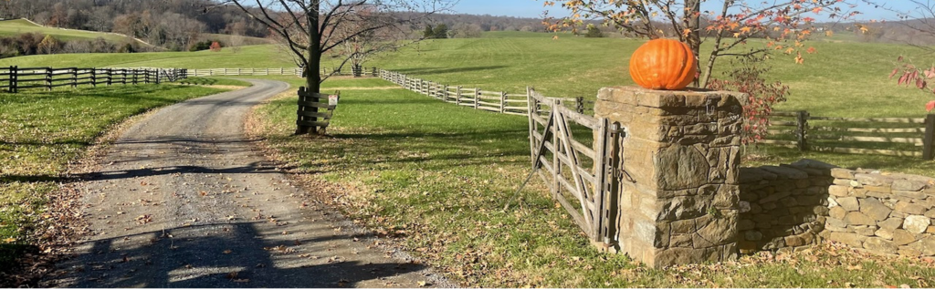 Journey Through History: The 2025 Loudoun 1725 Gravel Grinder Experience 1 Section 2 1