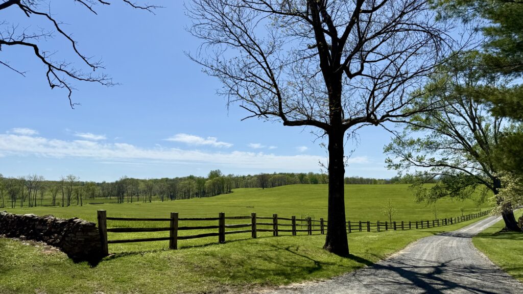 A gravel path runs alongside a wooden fence and a large tree, leading through a green, grassy field with scattered trees under a clear blue sky.