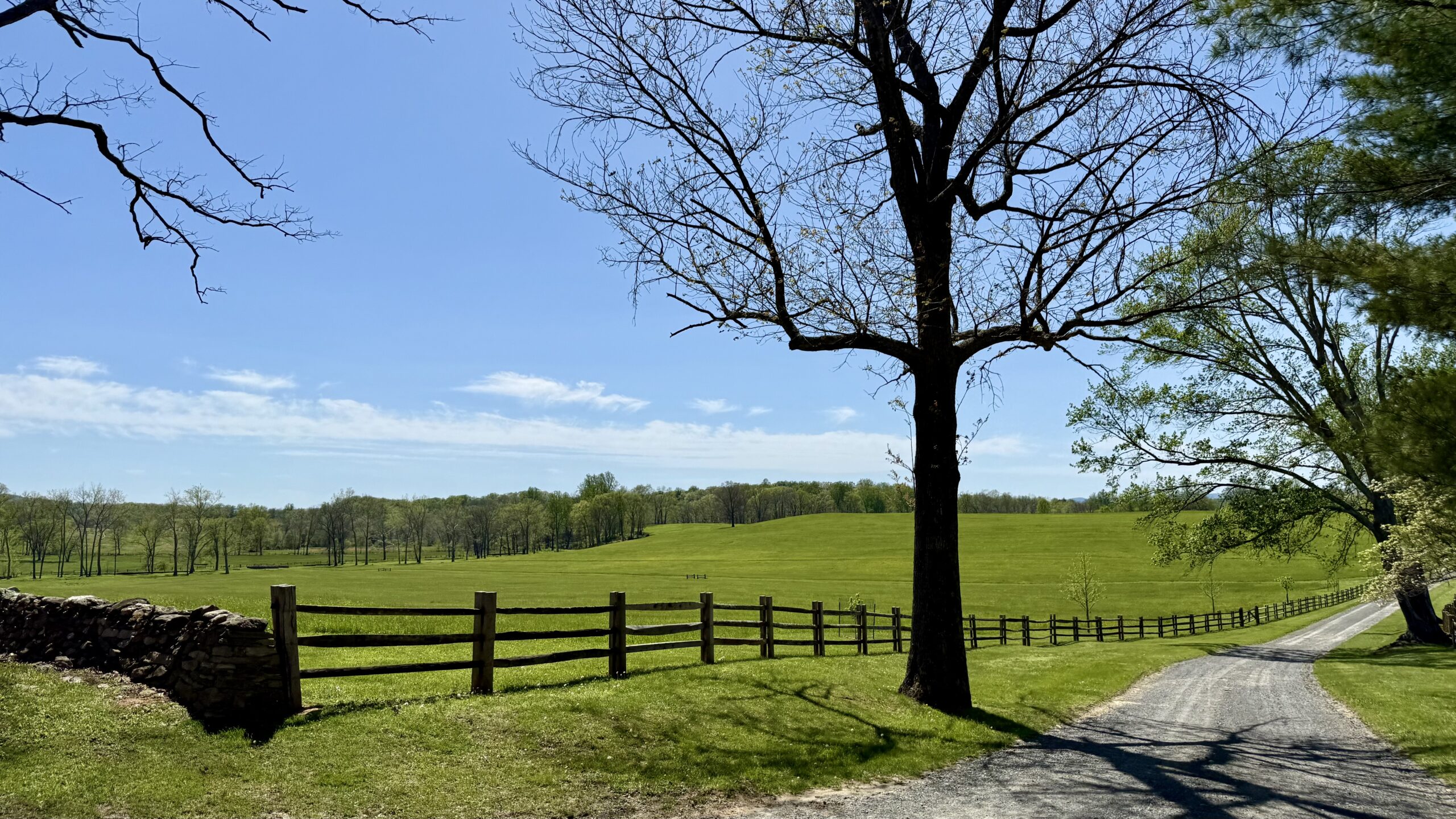 A gravel path runs alongside a wooden fence and a large tree, leading through a green, grassy field with scattered trees under a clear blue sky.