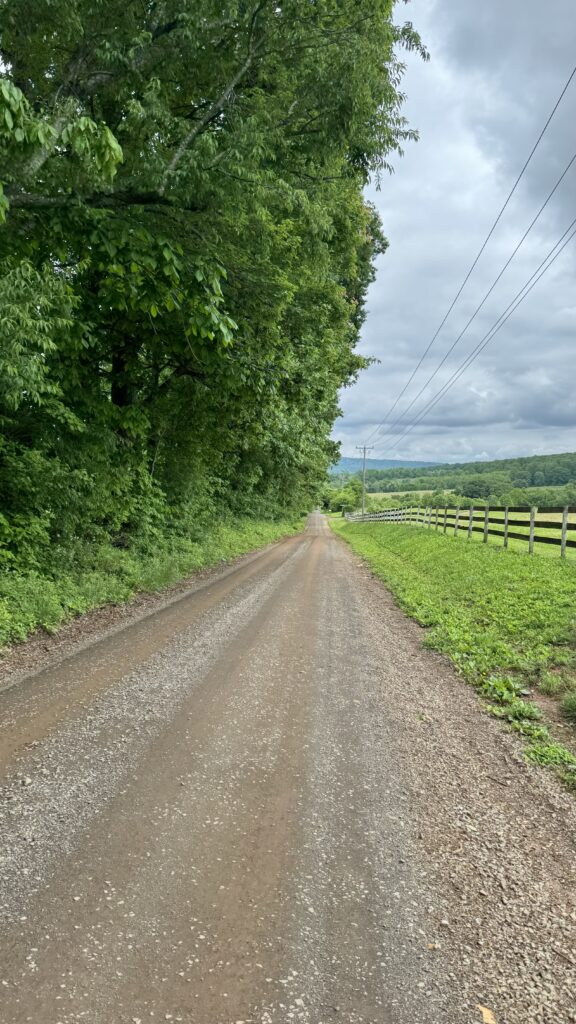 Spring Cycling Through Northern Virginia: Exploring Prince William, Loudoun, and Fauquier Counties 4 A gravel road stretches ahead, bordered by trees on the left and a white fence with green fields on the right, under a cloudy sky with power lines running alongside the road.