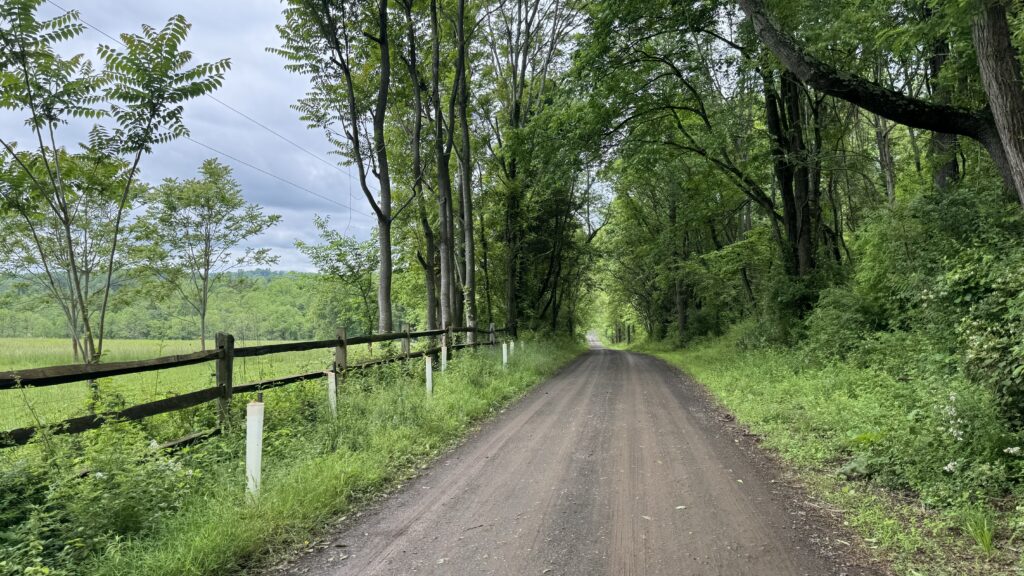 Spring Cycling Through Northern Virginia: Exploring Prince William, Loudoun, and Fauquier Counties 1 A dirt road lined with tall green trees and a wooden fence runs through a lush, wooded area under a cloudy sky. Grass and shrubs grow along both sides of the road.
