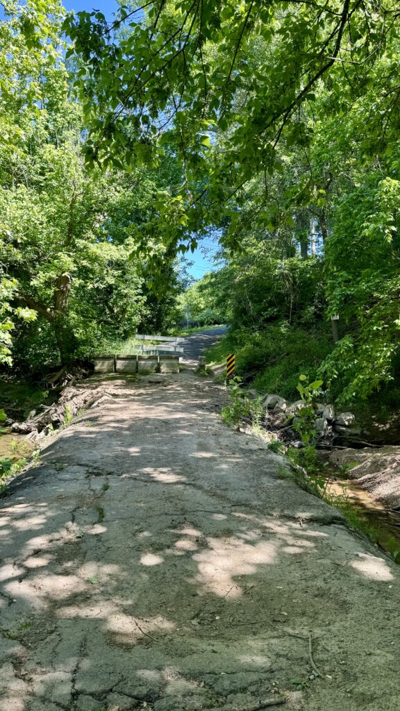 Spring Cycling Through Northern Virginia: Exploring Prince William, Loudoun, and Fauquier Counties 3 A cracked, shaded concrete road runs through a lush green forest, ending at a barricade near a shallow creek, with sunlight filtering through the dense tree canopy above.