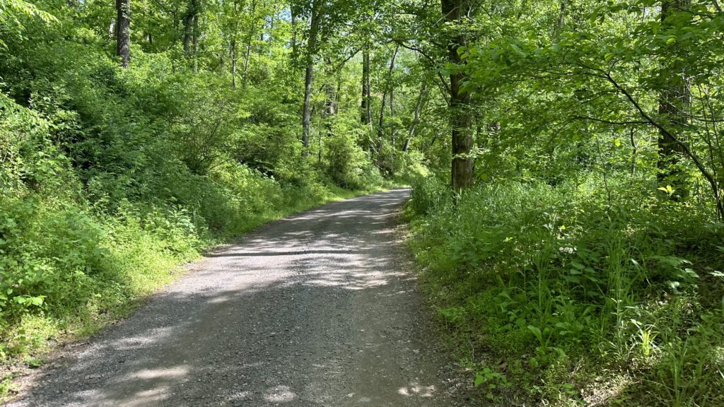 Scenic cycling landscape